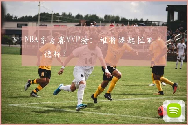 NBA季后赛MVP榜：谁将捧起拉里·伯德杯？