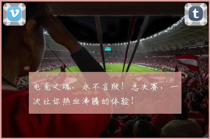 电竞之魂,永不言败!总决赛,一次让你热血沸腾的体验!